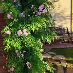 Maria Montecastillo Golf Appartamento *