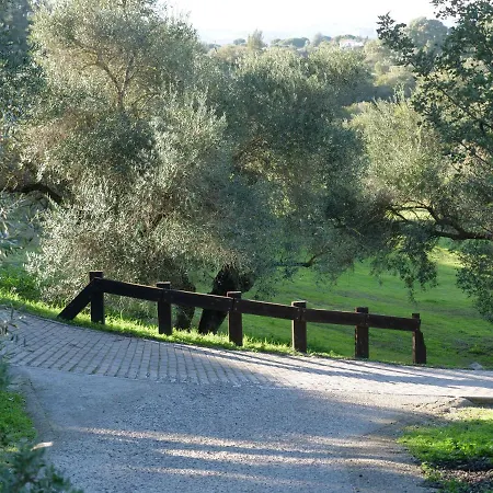 Maria Montecastillo Golf