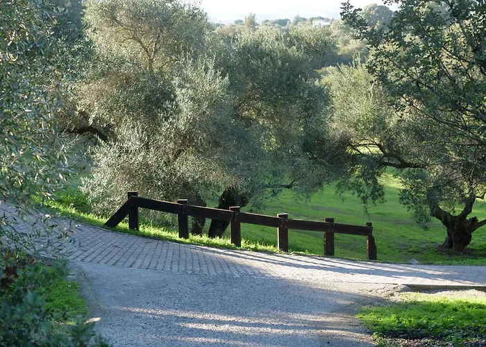 Maria Montecastillo Golf