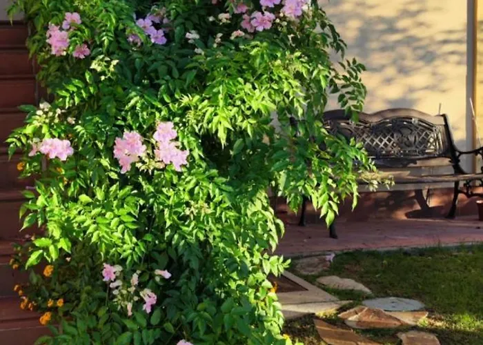 Maria Montecastillo Golf Appartement *