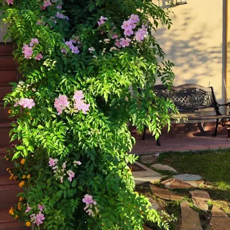 Maria Montecastillo Golf Apartament *